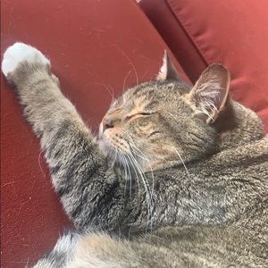 Meet your Posher, Keith